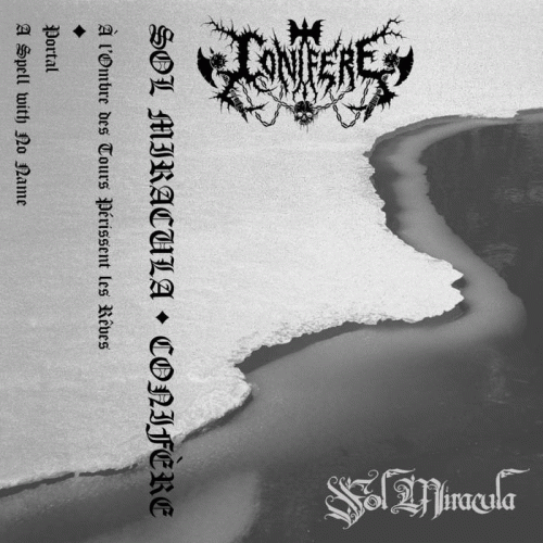 Conifère : Conifère - Sol Miracula